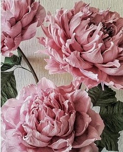 Peonie in carta crepla con goccia di siero.